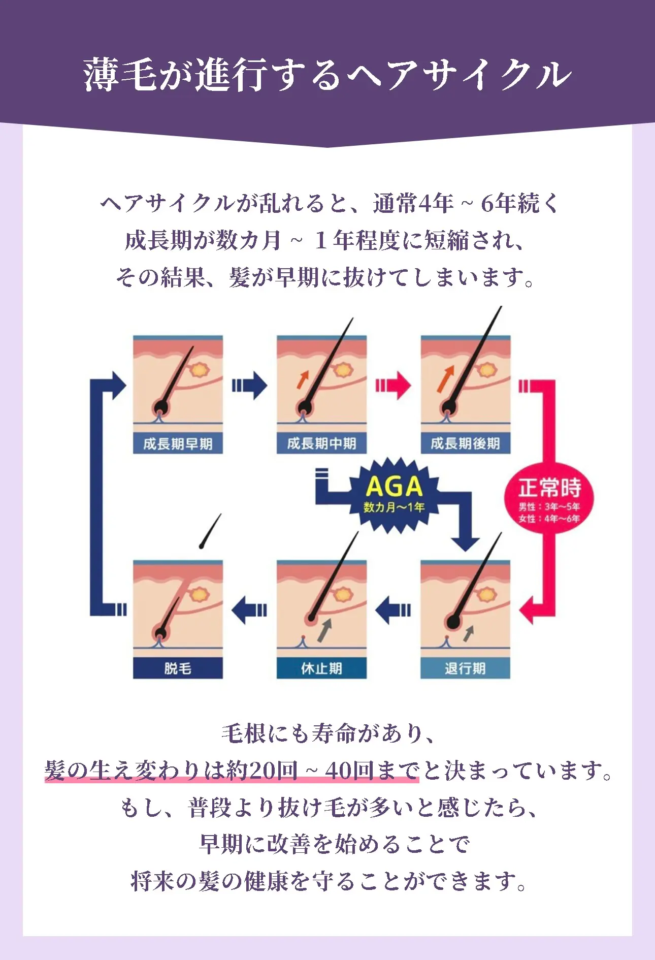 ヘアサイクルについて