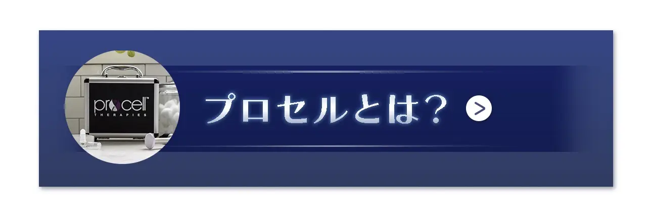 プロセルとは？